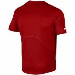 Men's Under Armour Red Wisconsin Badgers 2021 Sideline Training Performance T-Shirt -Under Armour SHOP unnamed file 10551