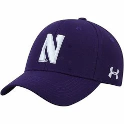 Men's Under Armour Purple Northwestern Wildcats Classic Structured Adjustable Hat