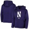 Men's Under Armour Purple Northwestern Wildcats Logo Pullover Hoodie