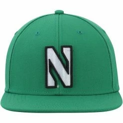 Men's Under Armour Kelly Green Northwestern Wildcats On-Field Baseball Fitted Hat -Under Armour SHOP unnamed file 12304