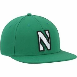 Men's Under Armour Kelly Green Northwestern Wildcats On-Field Baseball Fitted Hat -Under Armour SHOP unnamed file 12305