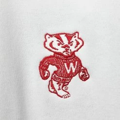 Men's Under Armour White Wisconsin Badgers Game Day All Day Fleece Half-Zip Jacket -Under Armour SHOP unnamed file 12615