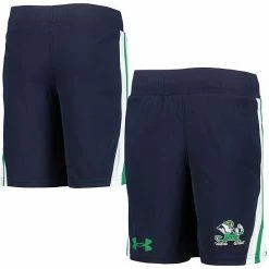 Youth Under Armour Navy Notre Dame Fighting Irish Logo Game Day Mesh Shorts